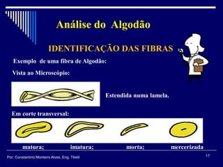 matura; imatura; morta; mercerizada
Estendida numa lamela.
Em corte transversal:
Exemplo de uma fibra de Algodão:
Vista ao Microscópio:
IDENTIFICAÇÃO DAS FIBRAS
Análise do Algodão
17Por: Constantino Monteiro Alves, Eng. Têxtil
 