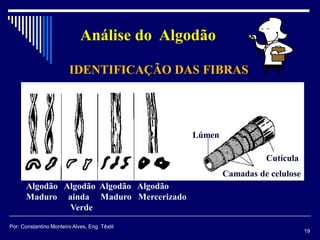 Algodão Algodão Algodão Algodão
Maduro ainda Maduro Mercerizado
Verde
Camadas de celulose
Lúmen
Cutícula
IDENTIFICAÇÃO DAS FIBRAS
19
Por: Constantino Monteiro Alves, Eng. Têxtil
Análise do Algodão
 