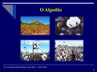 2
O Algodão
Por: Constantino Monteiro Alves, Eng. Têxtil - Janeiro 2014
 