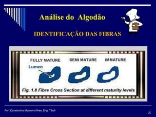 IDENTIFICAÇÃO DAS FIBRAS
20
Por: Constantino Monteiro Alves, Eng. Têxtil
Análise do Algodão
 
