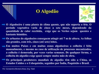 O Algodão
3Por: Constantino Monteiro Alves, Eng. Têxtil
O Algodoeiro é uma planta de clima quente, que não suporta o frio. O
período vegetativo varia de cinco a sete meses, dependendo da
quantidade de calor recebida, exige que os Verões sejam quentes e
bastante húmidos.
Os arbustos do algodoeiro conseguem atingir até 7 m de altura. As folhas
são grandes, com três, cinco (até sete) lobos.
Em muitos Países e em muitas zonas algodoeiras a colheita é feita
manualmente, e mesmo no caso de utilização de processos mecanizados,
a colheita é demorada, por vezes varias semanas. De qualquer forma, a
colheita do algodão exige quasi sempre muita mão de obra.
Os principais produtores mundiais de algodão têm sido a China, os
Estados Unidos e o Usbequistão, seguidos por Índia, Paquistão e Brasil.
 