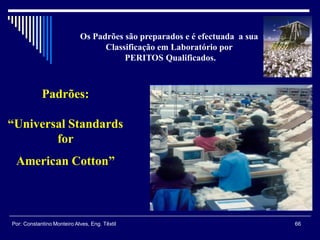 Padrões:
“Universal Standards
for
American Cotton”
Os Padrões são preparados e é efectuada a sua
Classificação em Laboratório por
PERITOS Qualificados.
66Por: Constantino Monteiro Alves, Eng. Têxtil
 