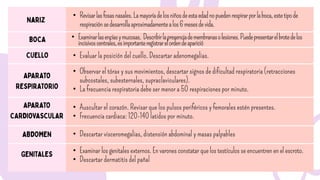 • Examinarlasencíasymucosas. Describirlapresenciademembranasolesiones.Puedepresentarelbrotedelos
incisivoscentrales,esimportanteregistrarelordendeaparició
• Evaluar la posición del cuello. Descartar adenomegalias.
• Observar el tórax y sus movimientos, descartar signos de dificultad respiratoria (retracciones
subcostales, subesternales, supraclaviculares).
• La frecuencia respiratoria debe ser menor a 50 respiraciones por minuto.
• Auscultar el corazón. Revisar que los pulsos periféricos y femorales estén presentes.
• Frecuencia cardiaca: 120-140 latidos por minuto.
• Descartar visceromegalias, distensión abdominal y masas palpables
• Revisarlasfosasnasales.Lamayoríadelosniñosdeestaedadnopuedenrespirarporlaboca,estetipode
respiraciónsedesarrollaaproximadamentealos6mesesdevida.
• Examinar los genitales externos. En varones constatar quelos testículos se encuentrenen el escroto.
• Descartar dermatitis del pañal
 