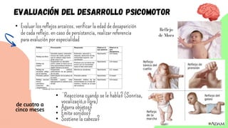 Evaluación del desarrollo Psicomotor
• Evaluar los reflejos arcaicos. verificar la edad de desaparición
de cada reflejo. en caso de persistencia, realizar referencia
para evalución por especialidad
Reflejo
de Moro
• ¿Reacciona cuando se le habla? (Sonrisa,
vocalizació,o llora)
• Agarra objetos?
• Emite sonidos?
• Sostiene la cabeza?
de cuatro a
cinco meses
 