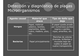 Detección y diagnóstico de plagas 
Microorganismos 
Manchas de colores 
diversas, brillantes y 
mucosas bajo las 
cuales el papel se 
vuelve transparente. 
Bacterias Papel principalmente 
El papel queda picado 
por numerosos puntos 
negros o pardos, 
rojos, amarillos, etc. 
Papel, material 
plástico, textiles, 
pigmentos, lanas, 
cuero, madera, yeso, 
etc. 
Hongos 
Tipo de daño que 
deja 
Material que 
ataca 
Agente causal 
 