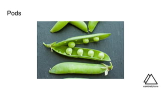 Pods
 