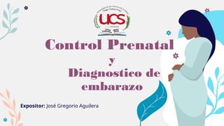 Comprehensive Guide to Prenatal Care and Pregnancy Diagnosis | PPTX