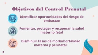 Comprehensive Guide to Prenatal Care and Pregnancy Diagnosis | PPTX