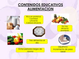 CONTENIDOS EDUCATIVOS ALIMENTACIONRica en proteínas Cantidad suficiente Calidad eficienteNo hay alimento prohibidoTres alimentos al díaOBJETIVO:Incremento de peso idealEvitar periodos largos de ayuno