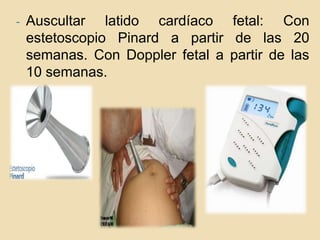 Ecografía ginecológica: 	a la 7ma. Semana 	se observa el corazón 	fetal.