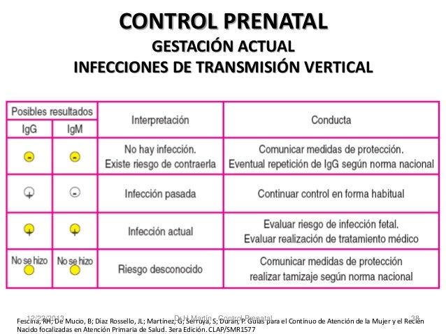 Que es bueno para quemar grasa corporal image 3