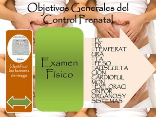 Identificar
los factores
de riesgo
FC
FR
TEMPERAT
URA
TA
PESO
AUSCULTA
CION
CARDIOPUL
MON
EXPLORACI
ON POR
ORGANOS Y
SISTEMAS
Examen
Físico
Objetivos Generales del
Control Prenatal
 