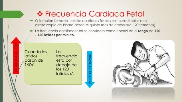 Control prenatal