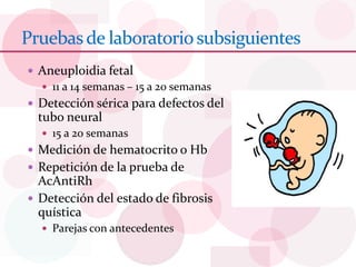 Pruebasde laboratoriosubsiguientes
 Aneuploidia fetal
 11 a 14 semanas – 15 a 20 semanas
 Detección sérica para defectos del
tubo neural
 15 a 20 semanas
 Medición de hematocrito o Hb
 Repetición de la prueba de
AcAntiRh
 Detección del estado de fibrosis
quística
 Parejas con antecedentes
 