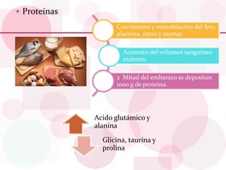  Proteínas
Crecimiento y remodelación del feto,
placenta, útero y mamas
Aumento del volumen sanguíneo
materno
2 Mitad del embarazo se depositan
1000 g de proteina.
Acido glutámico y
alanina
Glicina, taurina y
prolina
 