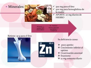  Minerales:  300 mg para el feto
 500 mg para hemoglobina de
la madre
 APORTE: 27 mg diarios de
HIERRO
Su Omision:
EVITA GRAVAR
NAUSEAS Y
VOMITOS
Primeros 4
mesess (NO
NECEARIO)
Retiene: 30 g para el feto
Su deficiencia causa:
 poco apetito
 Crecimiento inferior al
optimo
 Cicatrización anormal
 Enanismo
 12 mg consumo diario
 