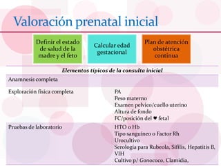 Valoración prenatal inicial
Definir el estado
de salud de la
madre y el feto
Calcular edad
gestacional
Plan de atención
obstétrica
continua
Elementos típicos de la consulta inicial
Anamnesis completa
Exploración física completa PA
Peso materno
Examen pelvico/cuello uterino
Altura de fondo
FC/posición del ♥ fetal
Pruebas de laboratorio HTO o Hb
Tipo sanguíneo o Factor Rh
Urocultivo
Serología para Rubeola, Sífilis, Hepatitis B,
VIH
Cultivo p/ Gonococo, Clamidia,
 