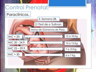Control Prenatal.
Paraclínicos.
2. Semana 28.
2.1Test de o 'Sullivan.
Metas de Ganancia de Peso.
IMC < 20. 12 a 18 Kg.
IMC 20 - 24,9. 10 a 13 Kg.
IMC 25 – 29,9 . 7 a 10 Kg.
IMC > 30 6 a 7 Kg.
 