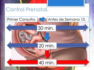 Control Prenatal.
Primer Consulta. Antes de Semana 10.
30 min.
20 min.
40 min.
 