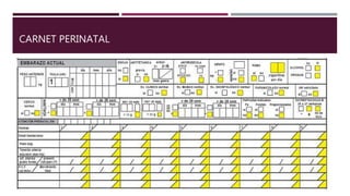 CARNET PERINATAL
 