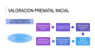 Pelvimetría interna y
valoración feto
pélvica.
Determinación del
encajamiento fetal.
Reevaluación del
estado general
materno.
Actualizar
exámenes
auxiliares, según
criterio médico.
Solicitar pruebas de
bienestar fetal,
según caso.
Programar para
cesárea electiva los
casos necesarios.
A PARTIR DE
LAS 35
SEMANAS
3. PLAN DE ATENCION
OBSTETRICA CONTINUA
VALORACION PRENATAL INICIAL
 