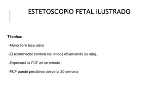 Técnica:
-Mano libre toca útero
-El examinador contara los latidos observando su reloj.
-Expresará la FCF en un minuto
-FCF puede percibirse desde la 20 semana
ESTETOSCOPIO FETAL ILUSTRADO
 