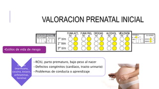 Drogas
(marihuana,
cocaína, éxtasis,
anfetaminas,
heroína)
•RCIU, parto prematuro, bajo peso al nacer
•Defectos congénitos (cardíaco, tracto urinario)
•Problemas de conducta o aprendizaje
•Estilos de vida de riesgo
VALORACION PRENATAL INICIAL
 