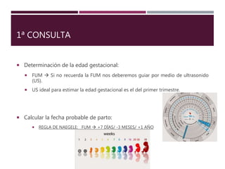 1ª CONSULTA
 Determinación de la edad gestacional:
 FUM  Si no recuerda la FUM nos deberemos guiar por medio de ultrasonido
(US).
 US ideal para estimar la edad gestacional es el del primer trimestre.
 Calcular la fecha probable de parto:
 REGLA DE NAEGELE: FUM  +7 DÍAS/ -3 MESES/ +1 AÑO
 