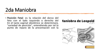 2da Maniobra
• Posición Fetal: es la relación del dorso del
feto con el lado izquierdo o derecho del
En el tacto vaginal obstétrico se determinará,
“variedad de posición”, entendiendo por tal la
punto de reparo de la presentación con la
 