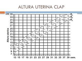 ALTURA UTERINA CLAP
 