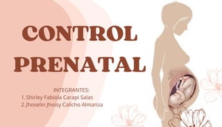 Comprehensive Guide to Prenatal Care: Monitoring, Risk Assessment, and ...