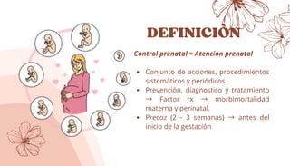 Comprehensive Guide to Prenatal Care: Monitoring, Risk Assessment, and ...