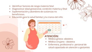 Comprehensive Guide to Prenatal Care: Monitoring, Risk Assessment, and ...