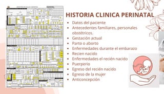 Comprehensive Guide to Prenatal Care: Monitoring, Risk Assessment, and ...