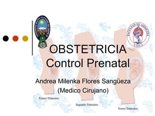 OBSTETRICIA
Control Prenatal
Andrea Milenka Flores Sangüeza
(Medico Cirujano)
 