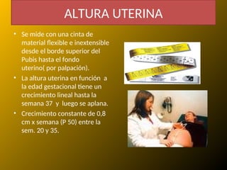 ALTURA UTERINA
• Se mide con una cinta de
material flexible e inextensible
desde el borde superior del
Pubis hasta el fondo
uterino( por palpación).
• La altura uterina en función a
la edad gestacional tiene un
crecimiento lineal hasta la
semana 37 y luego se aplana.
• Crecimiento constante de 0,8
cm x semana (P 50) entre la
sem. 20 y 35.
 