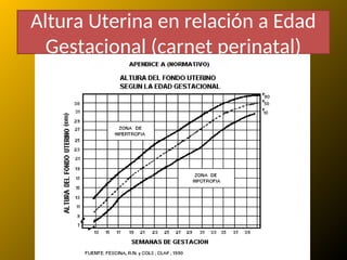 Altura Uterina en relación a Edad
Gestacional (carnet perinatal)
 