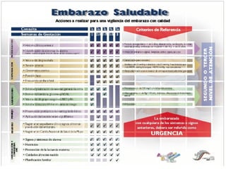 Control Prenatal (1).pptnmnmmmmmmmmmmmmmmmmmmmmmmmmmmm