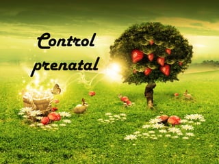 Control
prenatal
 