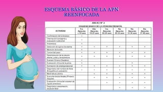 ESQUEMA BÁSICO DE LA APN
REENFOCADA

 