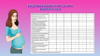 ESQUEMA BÁSICO DE LA APN
REENFOCADA

 