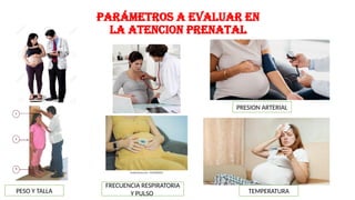 PARÁMETROS A EVALUAR EN
LA ATENCION PRENATAL
FRECUENCIA RESPIRATORIA
Y PULSO
PRESION ARTERIAL
TEMPERATURA
PESO Y TALLA
 