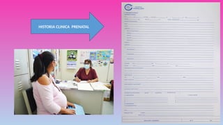 HISTORIA CLINICA PRENATAL
 