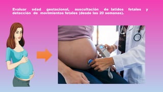 Evaluar edad gestacional, auscultación de latidos fetales y
detección de movimientos fetales (desde las 20 semanas).
 