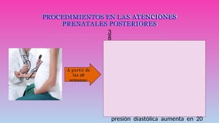 PROCEDIMIENTOS EN LAS ATENCIONES
PRENATALES POSTERIORES

•  Realizar prueba de Gantt o
rollover test (prueba de
rodamiento) entre las 28 a 32
semanas, de la siguiente manera:
Tomar la presión arterial en
decúbito lateral izquierdo en el
brazo derecho, después colocar a
la gestante en decúbito supino y
esperar 5 minutos para repetir la
toma de presión arterial, si la
presión diastólica aumenta en 20
A partir de
las 28
semanas:
 