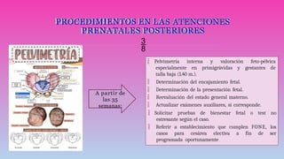 PROCEDIMIENTOS EN LAS ATENCIONES
PRENATALES POSTERIORES

 Pelvimetría interna y valoración feto-pélvica
especialmente en primigrávidas y gestantes de
talla baja (1.40 m.).
 Determinación del encajamiento fetal.
 Determinación de la presentación fetal.
 Reevaluación del estado general materno.
 Actualizar exámenes auxiliares, si corresponde.
 Solicitar pruebas de bienestar fetal o test no
estresante según el caso.
 Referir a establecimiento que cumplen FONE, los
casos para cesárea electiva a fin de ser
programada oportunamente
A partir de
las 35
semanas:
 