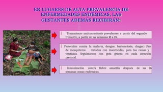 
 Inmunización contra fiebre amarilla después de las 26
semanas zonas endémicas.
EN LUGARES DE ALTA PREVALENCIA DE
ENFERMEDADES ENDÉMICAS, LAS
GESTANTES ADEMÁS RECIBIRÁN:
 Tratamiento anti-parasitosis prevalentes a partir del segundo
trimestre, a partir de las semanas 18 a 24.
 Protección contra la malaria, dengue, bartonelosis, chagas). Uso
de mosquiteros tratados con insecticidas, para las camas y
ventanas. Seguimiento con gota gruesa en cada atención
prenatal.
 