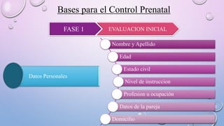 Datos Personales
Bases para el Control Prenatal
FASE 1 EVALUACION INICIAL
Nombre y Apellido
Edad
Estado civil
Nivel de instruccion
Profesion u ocupación
Datos de la pareja
Domicilio
 