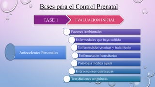 Bases para el Control Prenatal
FASE 1 EVALUACION INICIAL
Factores Ambientales
Enfermedades que haya sufrido
Enfermedades cronicas y tratamiento
Enfermedades hereditarias
Patologia medica aguda
Intervenciones quirúrgicas
Transfusiones sanguineas
Antecedentes Personales
 