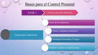 Bases para el Control Prenatal
FASE 1 EVALUACION INICIAL
Curso de los embarazos
Partos y puerperios Anteriores
Patologias Presentadas, Cirugias.
Detallar los partos y complicaciones.
Gestaciones Anteriores
 